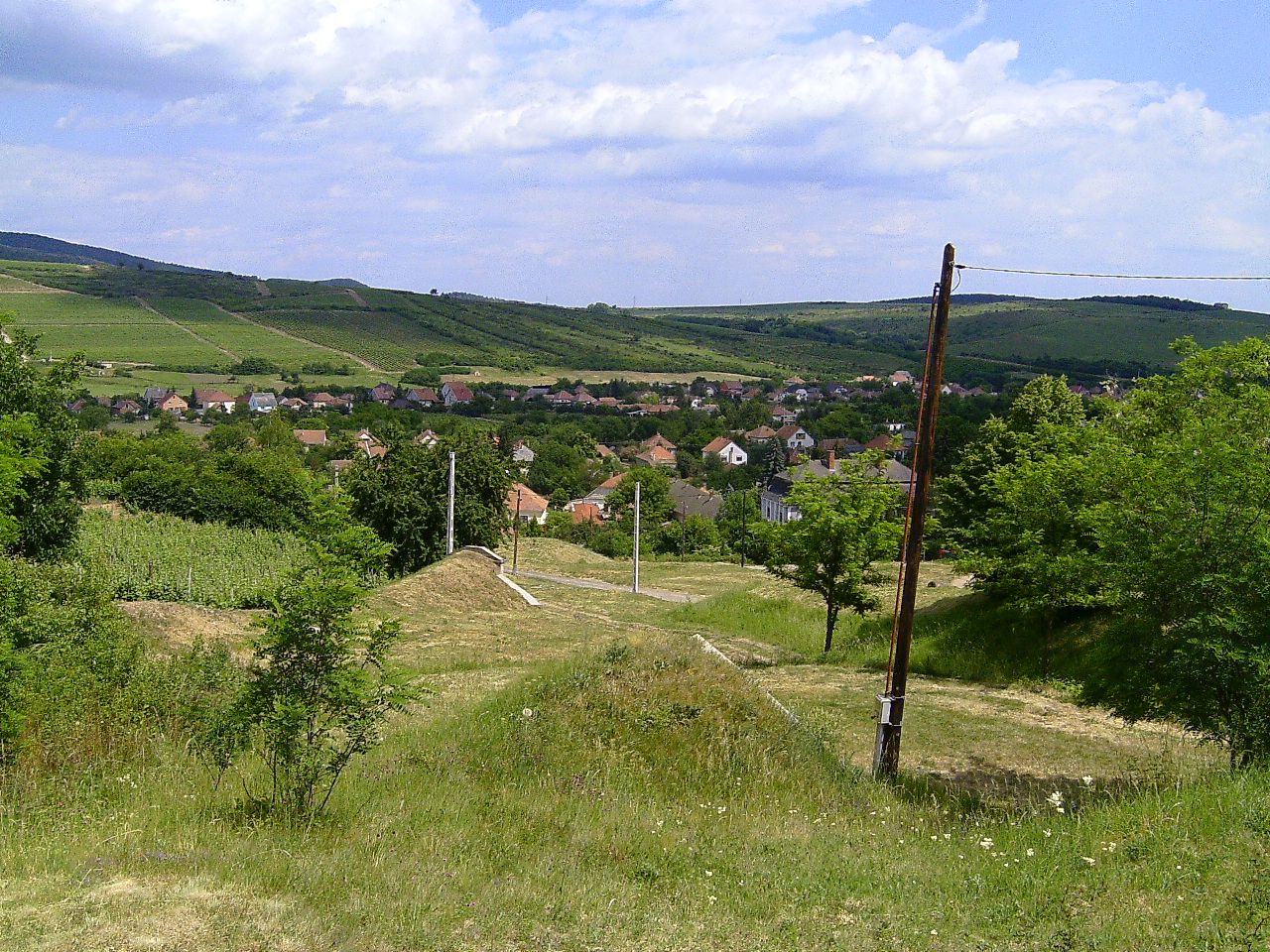 Obrázek