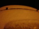 dsc00532-sm.jpg