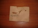 dsc01448-sm.jpg