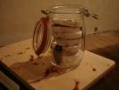 dsc02370-sm.jpg