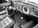 dsc03529-sm.jpg