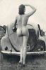 vw%2Bbabe%2B_1.jpg