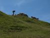 DSCF0686.JPG