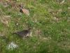 DSCF0839.JPG