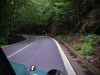DSCF8785.JPG