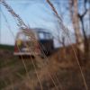 bus2011_04a.jpg