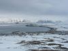 Dalvik.jpg