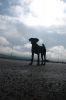 DSC_1659.jpg