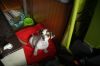 DSC_8819Komprim.jpg