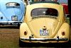 IMG_3109zmx.jpg