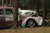 IMG_3123x.JPG