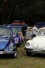 IMG_3127x.JPG