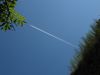 flight.jpg