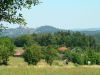stvořidla 2010 001.jpg