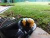 DSCN0664.jpg