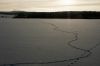 PICT0053.jpg
