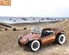 BUGGY-1.jpg
