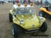 beach-buggy-metal-flake-pai.jpg