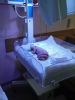 DSC03018.JPG