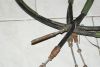 DSC09914.JPG