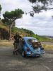 Léto 2010 074.jpg