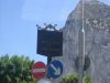 Léto 2010 469.jpg