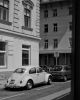 beetle_281_of_129~0.jpg