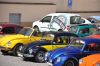 DSC_0424.jpg