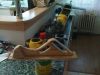 DSC00557.JPG