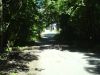 DSC03366.JPG