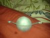 DSC03822.JPG