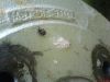 DSC01446.JPG