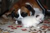 DSC_0758.JPG