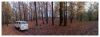 COLLECTION_0015.JPG