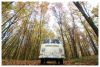 COLLECTION_0016.JPG