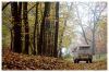 DAS_AUTO_0064.JPG