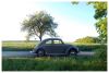 DAS_AUTO_0164~0.JPG
