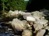 Sumava_10_Povydri~0.JPG