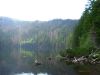 Sumava_18_Cerne_jezero.JPG