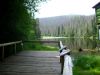 Sumava_20_Jezero_Laka.JPG