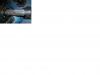 poskozeny.png