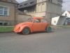 VOSK_292.jpg
