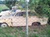 IMG_20140707_185418.jpg