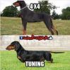 psi_tuning.jpg
