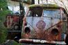 DSC4154-800x531.jpg