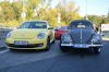 DSC_0235.JPG