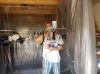 WP_000560.jpg