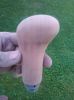 WP_000623.jpg