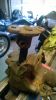 WP_20131013_008.jpg