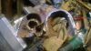 WP_20131207_003.jpg